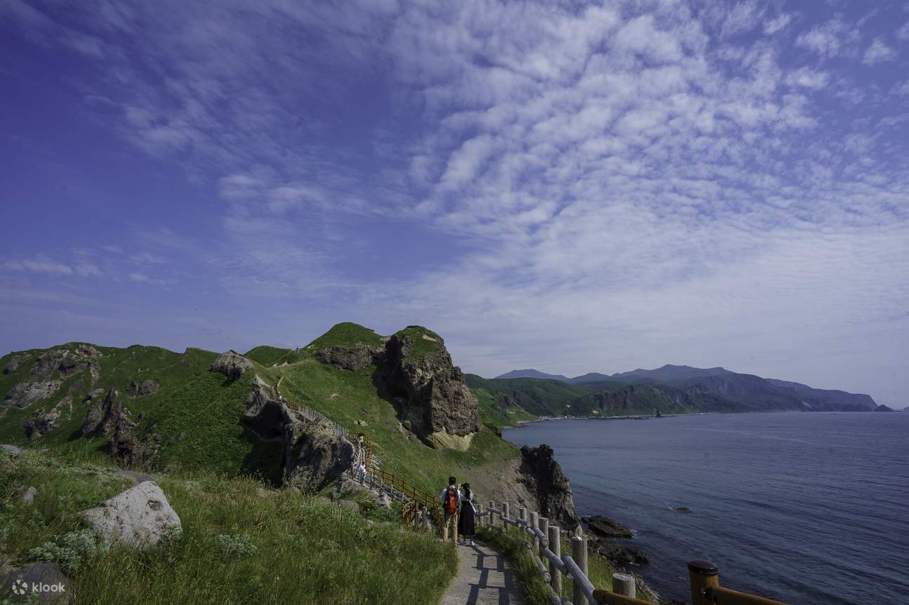 Hokkaido | Shakotan Sea Urchin Yoichi Whiskey Distillery Memetik Buah | Lawatan Hari Pemandangan Cape Kamui Otaru Tenguyama